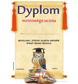 Dyplom wzorowego ucznia A1017