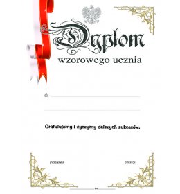 Dyplom wzorowego ucznia A206