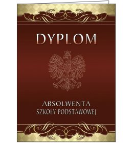 Teczka absolwent szkoły podst. TC42