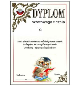 Dyplom wzorowego ucznia A777