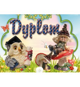 Dyplom pasowania na przedszkola C164