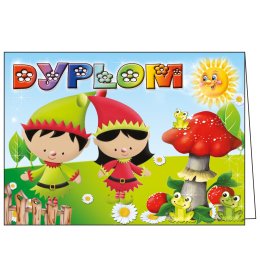 Dyplom pasowania na przedszkolaka C1046