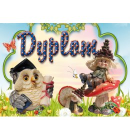 Dyplom ukończenia oddziału przedszkolnego C137