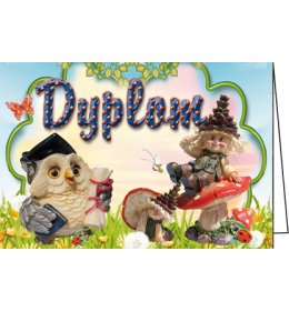 Dyplom ukończenia przedszkola C158