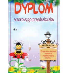 Dyplom wzorowego przedszkolaka B603