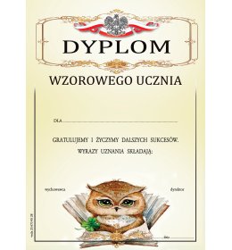 Dyplom wzorowego ucznia A1082