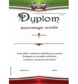 Dyplom wzorowego ucznia A20