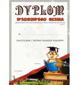 Dyplom wzorowego ucznia A884