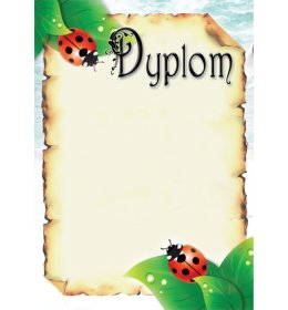 Dyplom uniwersalny A1141