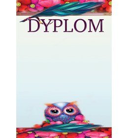 Dyplom uniwersalny A1143