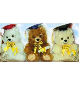 Miś Mądry większy 27 cm ZW27