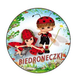 Znaczek Biedroneczki E214