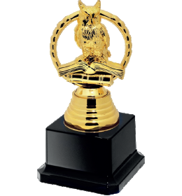 Sowa 3 na plastiku RP21