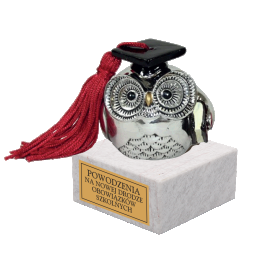 Statuetka sowa z książką 9cm RP16