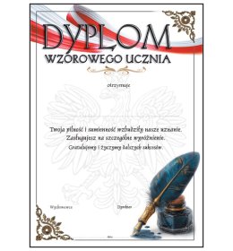 Dyplom wzorowego ucznia A197