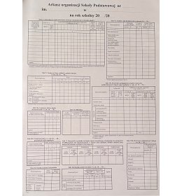 0018 arkusz organizacji szkoły podstawowej VI/1