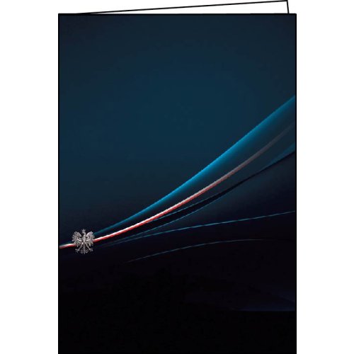Etui D38 (+ plastikowy narożnik)