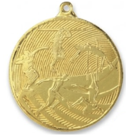 Medal sportowy MD2