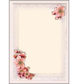 Barwny arkusz A801OLD