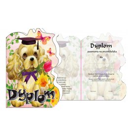 Dyplom pasowania na przedszkolaka C165OLD