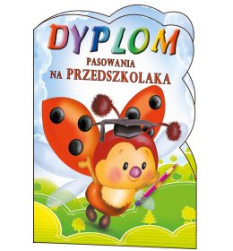 Dyplom pasowania na przedszkolaka C168