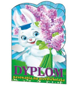 Dyplom pasowania na przedszkolaka C189