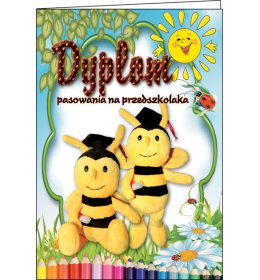 Dyplom pasowania na przedszkolaka C906