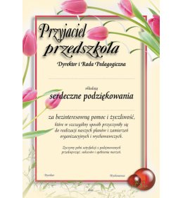 Dyplom przyjaciel przedszkola B113