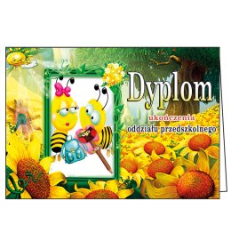 Dyplom ukończenia oddziału przedszkolnego C594