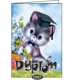 Dyplom ukończenia oddziału przedszkolnego C957