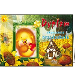 Dyplom ukończenia przedszkola C146