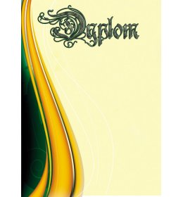 Dyplom uniwersalny A334