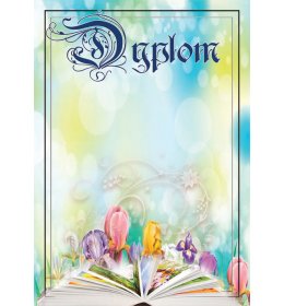 Dyplom uniwersalny A1133