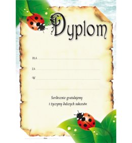 Dyplom uniwersalny A1144