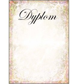Dyplom uniwersalny A254