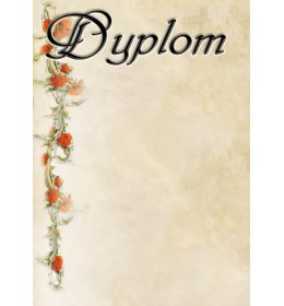 Dyplom uniwersalny A606