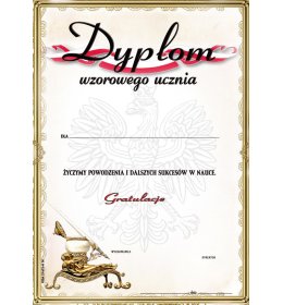 Dyplom wzorowego ucznia A1016