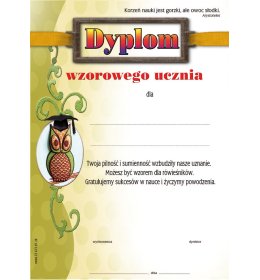 Dyplom wzorowego ucznia A1018