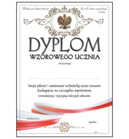 Dyplom wzorowego ucznia A1074