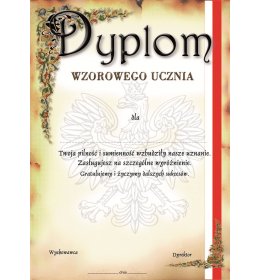 Dyplom wzorowego ucznia A940