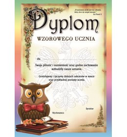 Dyplom wzorowego ucznia A973