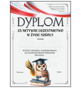 Dyplom za pracę na rzecz szkoły A1118