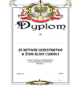 Dyplom za pracę na rzecz szkoły A954