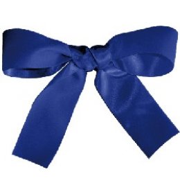 Wstążka WSA granatowa