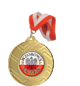 Medal wzorowy uczeń MD8