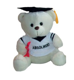 Miś Absolwent (mniejszy) ZW06