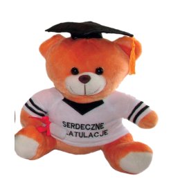 Miś Gratulacje (większy) ZW09