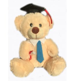 Mis Polaris  16 cm ZW23 chłopiec