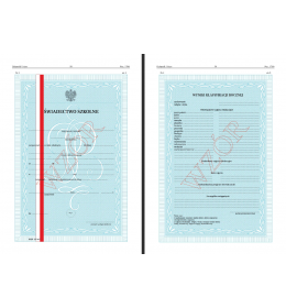 00551 Świadectwo promocyjne kl 4-7 SP z wyr. MEN-I/4-w/1 