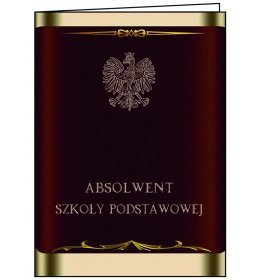 Teczka absolwent szkoły podst. TC1078